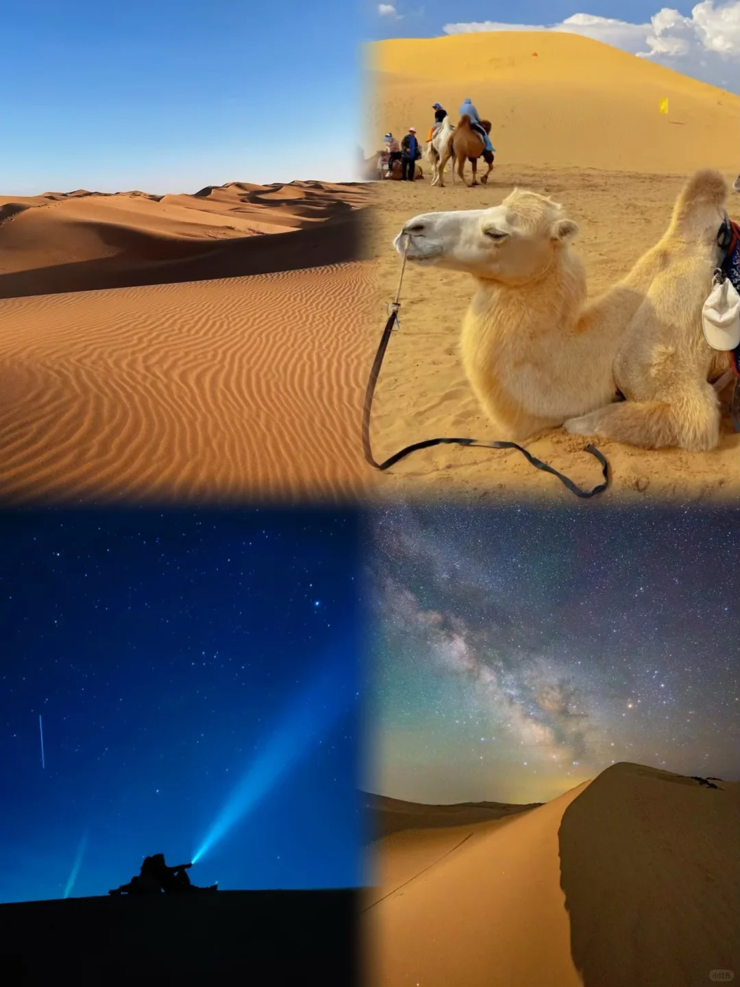 爆哭😭清明踏青直接封神📸朋友圈C位预定❗️