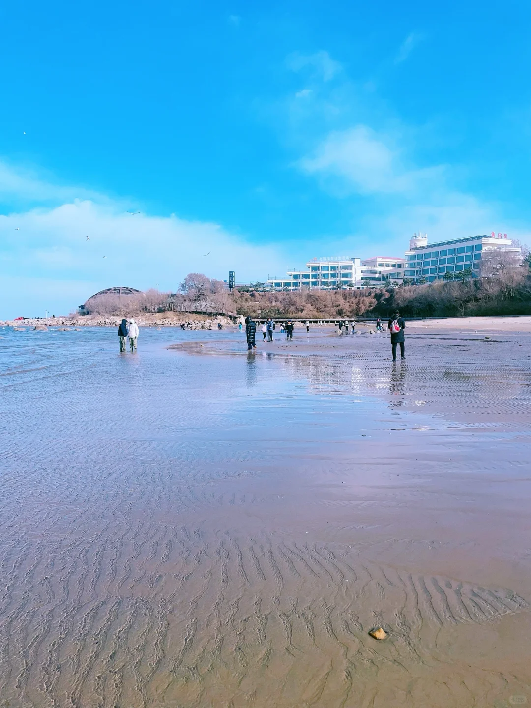 去北戴河旅游这样打卡太绝了