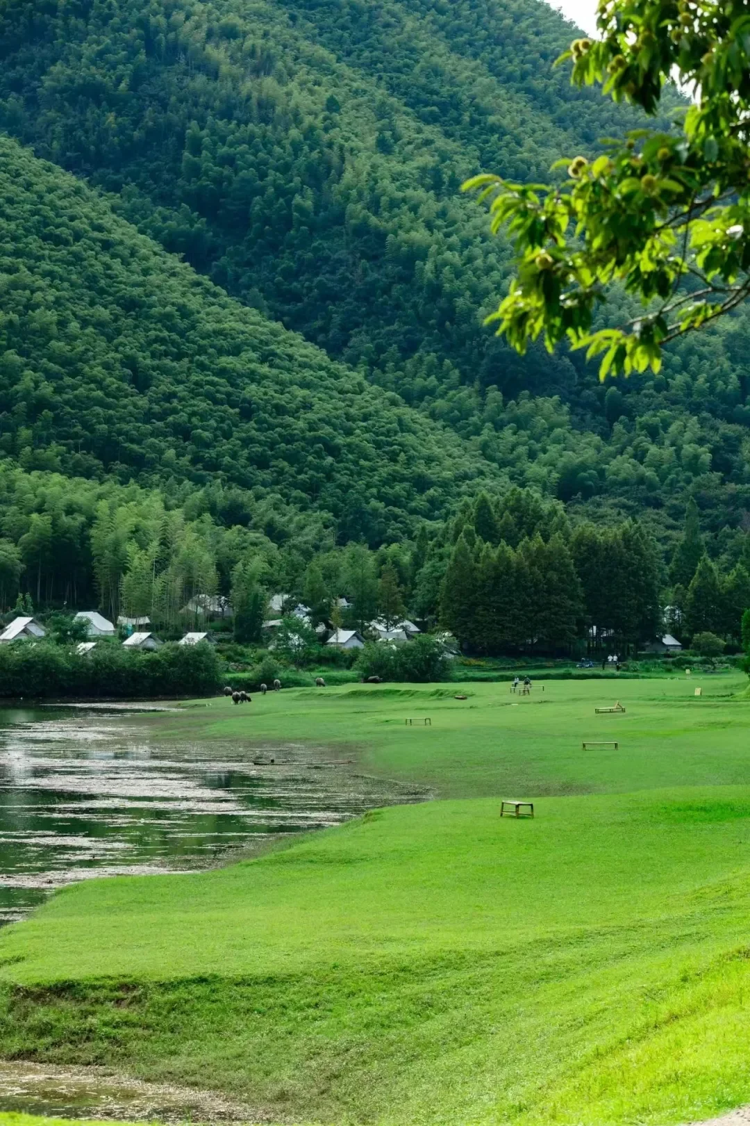 周末去一趟江浙沪版本的阿勒泰-安吉小杭坑