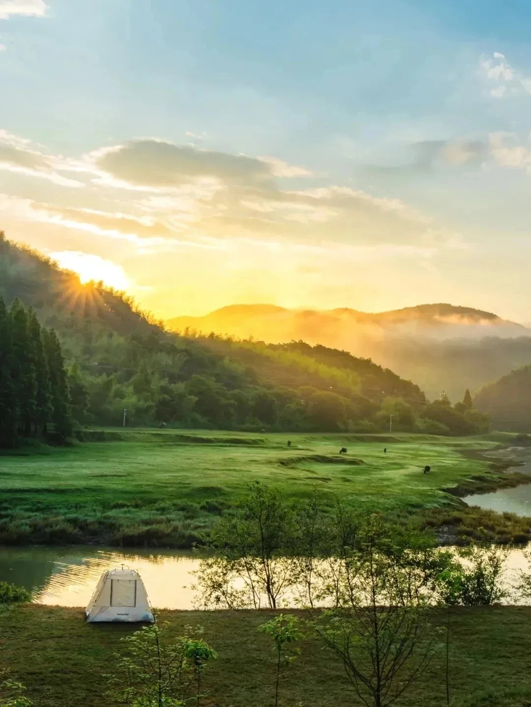 周末去一趟江浙沪版本的阿勒泰-安吉小杭坑