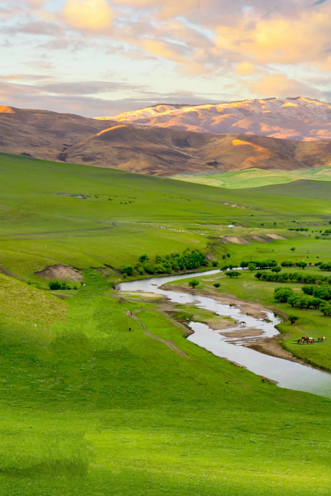 “达达线”24年被央视评为中国最美自驾路线