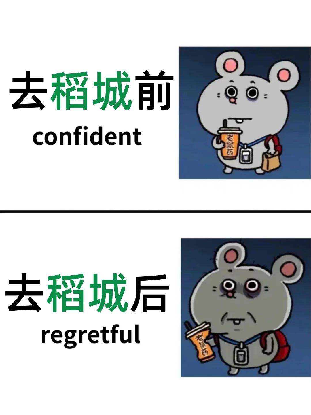 稻城亚丁旅游攻略🔥整理的良心建议