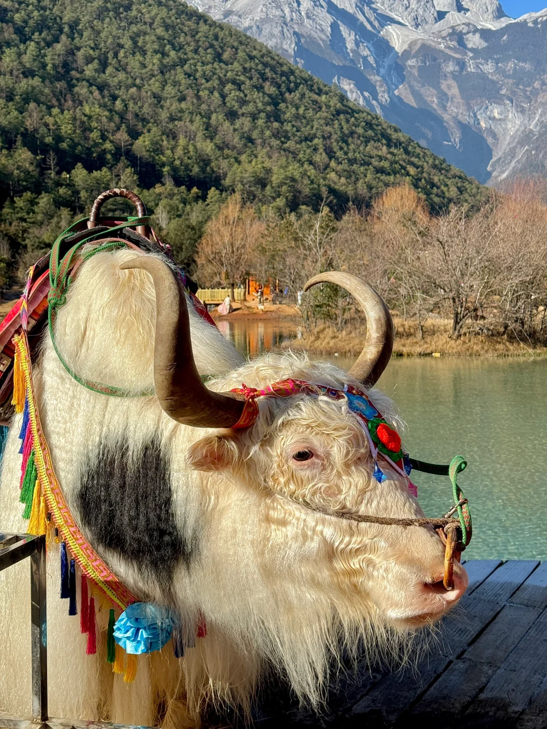 玉龙雪山旅游攻略（一天漫游版）