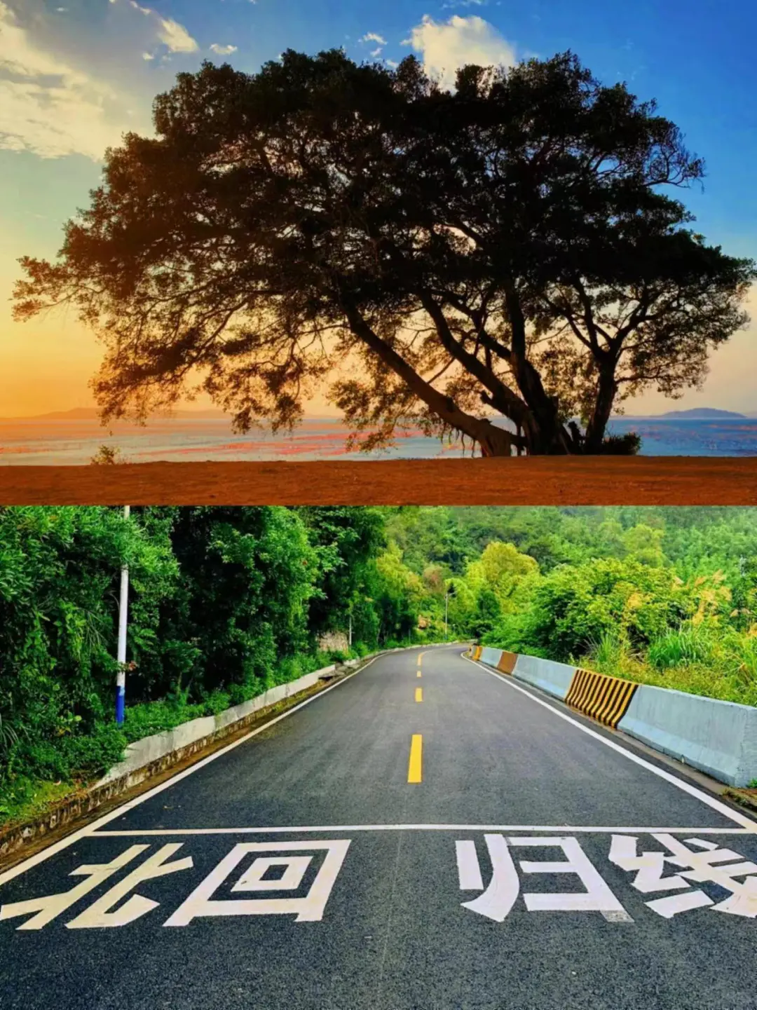 到底先去潮州还是汕头⁉️