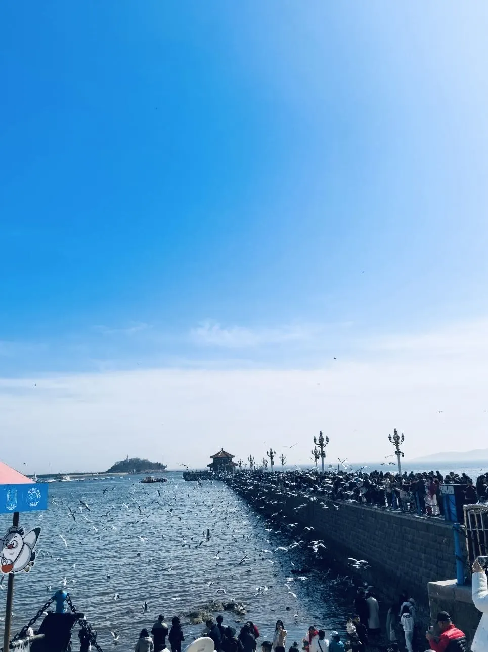 🌊青岛3天2晚深度攻略|逐字拆解景点玩法