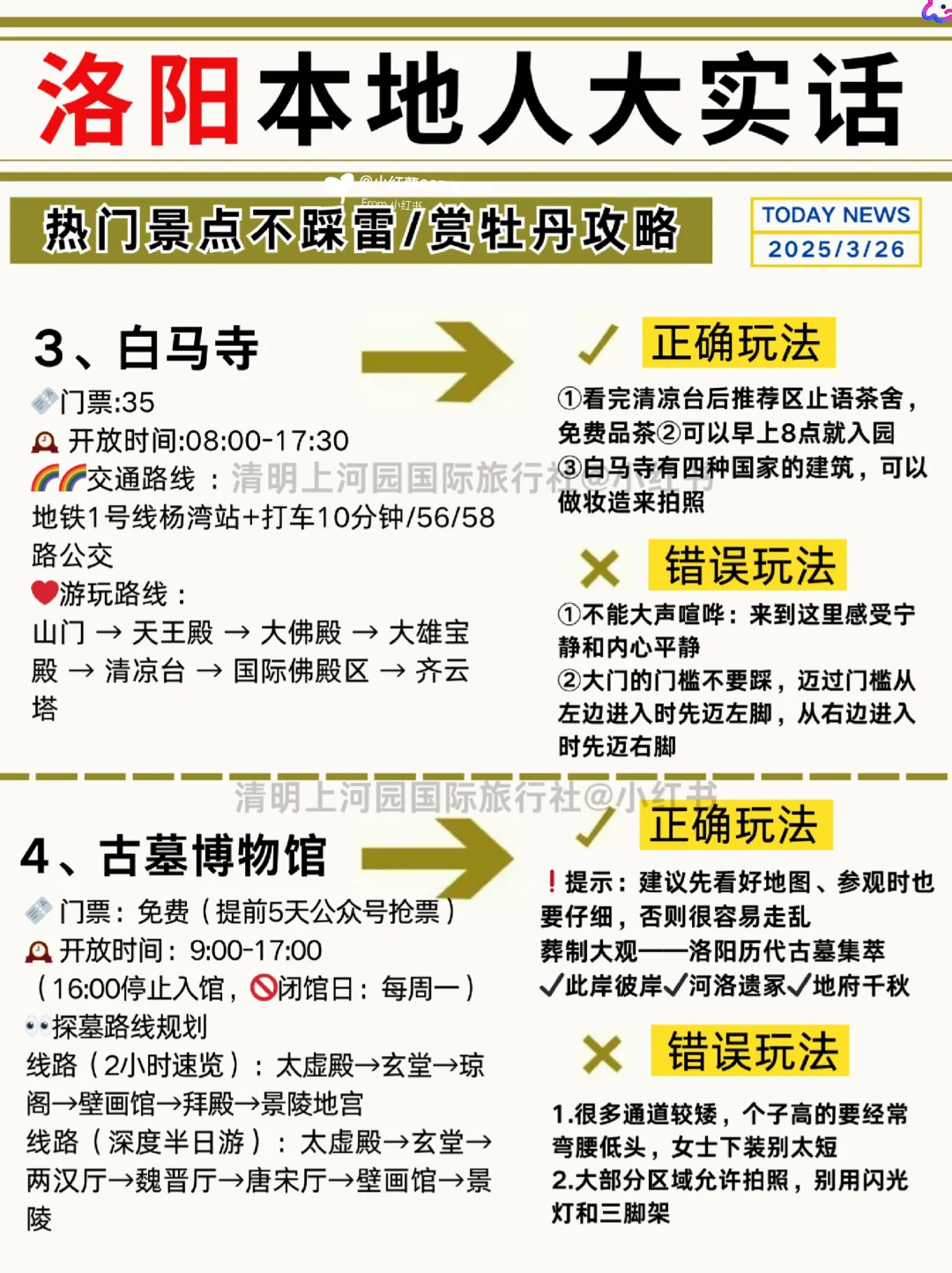 洛阳本地人说的大实话💢码住备用，重点多