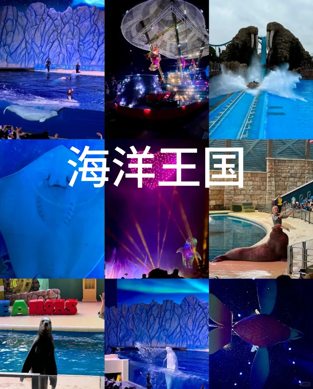 是谁还没有来看一目了然的珠海长隆旅游攻略