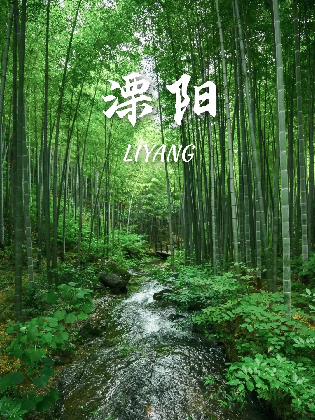 高铁直达‼️适合清明3天出游的9个目的地