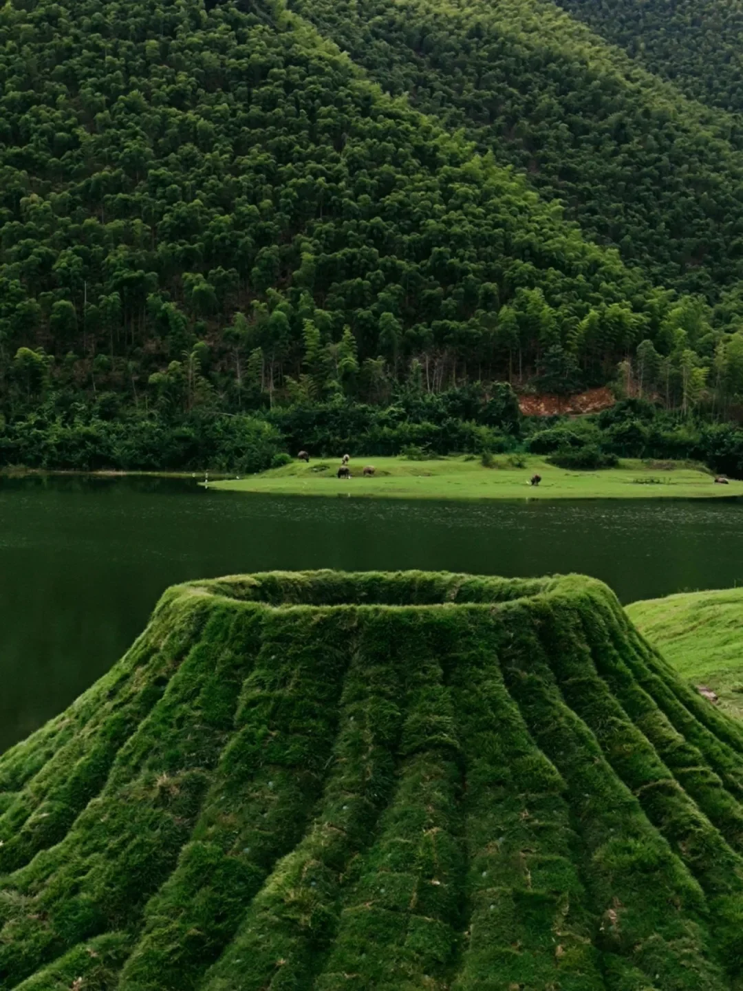 周末去一趟江浙沪版本的阿勒泰-安吉小杭坑