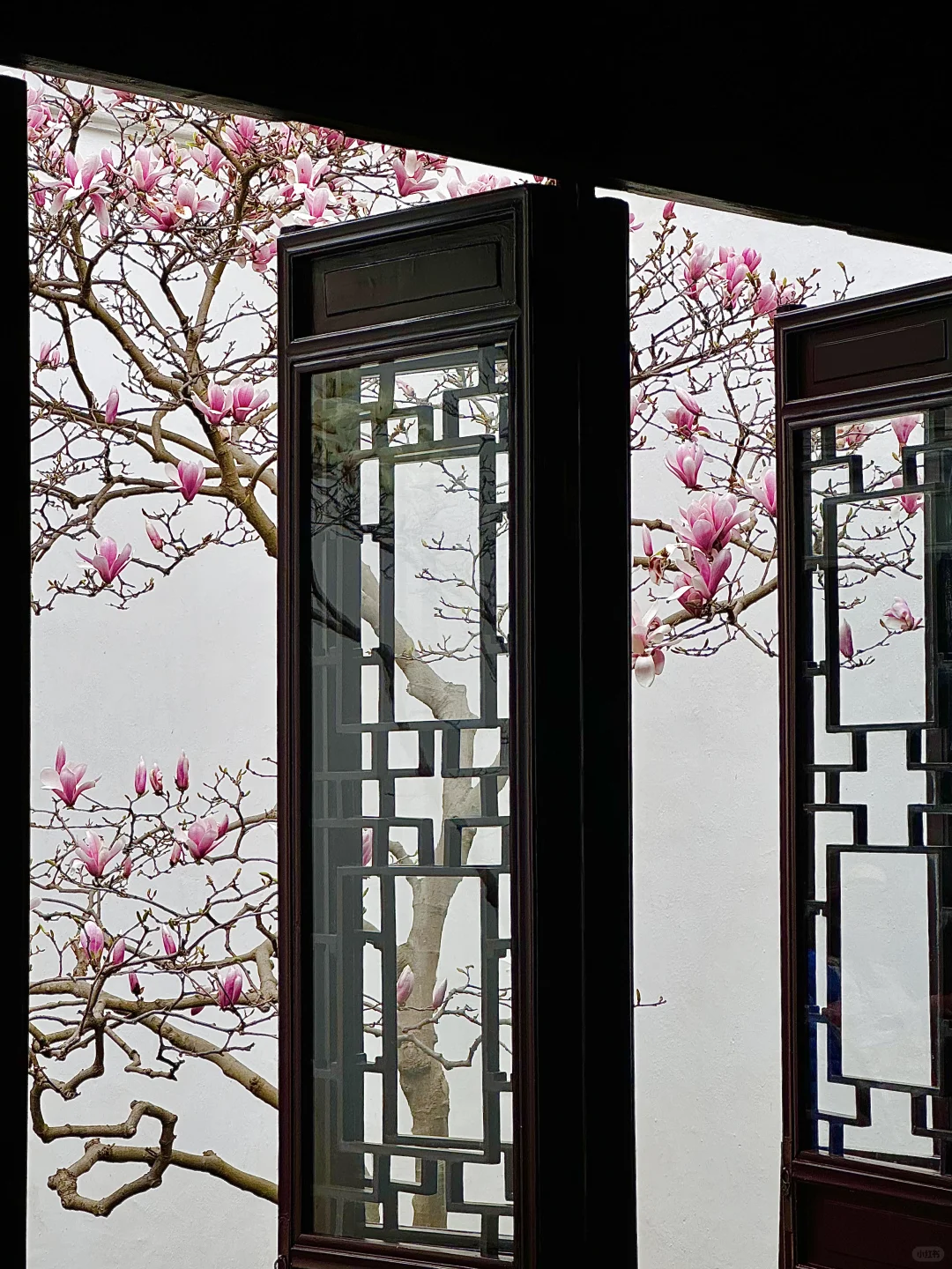 下个月的苏州，值得你专门来一趟……