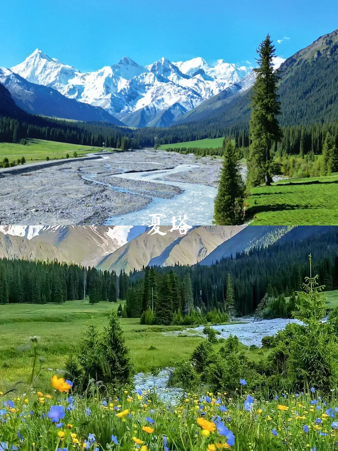 4—7月新疆伊犁8天7晚旅游攻略[火R]