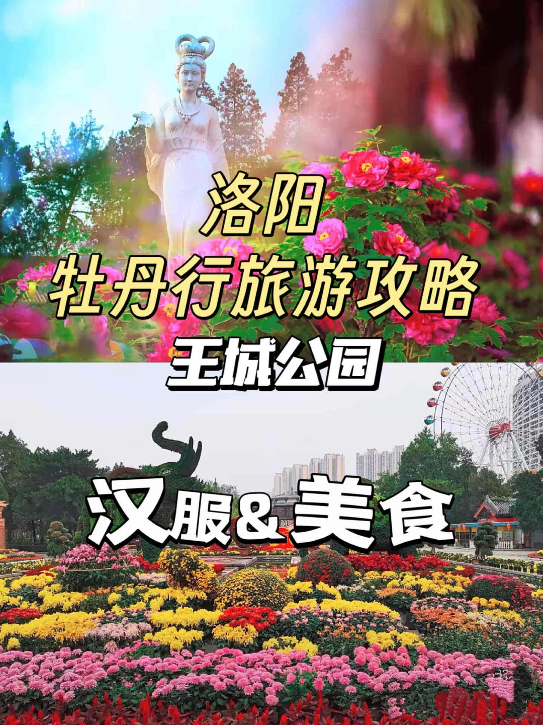 洛阳旅游攻略：带着孩子来洛阳赏牡丹花吧