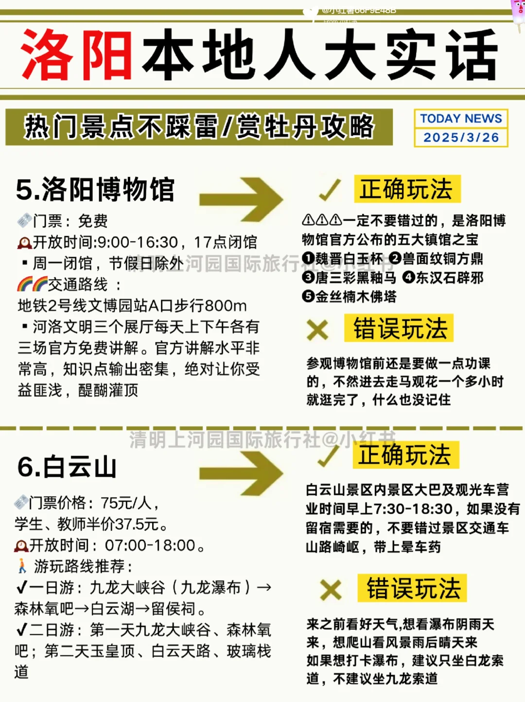 洛阳本地人说的大实话💢码住备用，重点多