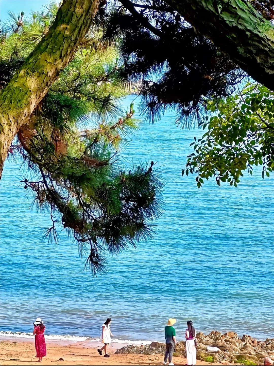 青岛📍两天一夜人均 200旅游攻略｜自由行