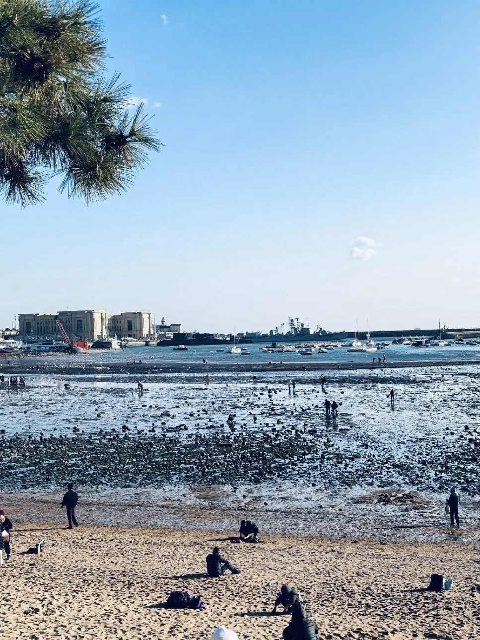 🌊青岛3天2晚深度攻略|逐字拆解景点玩法