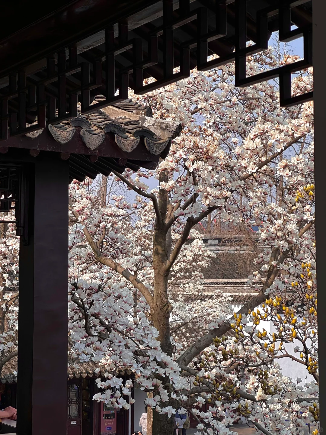 下个月的苏州，值得你专门来一趟……