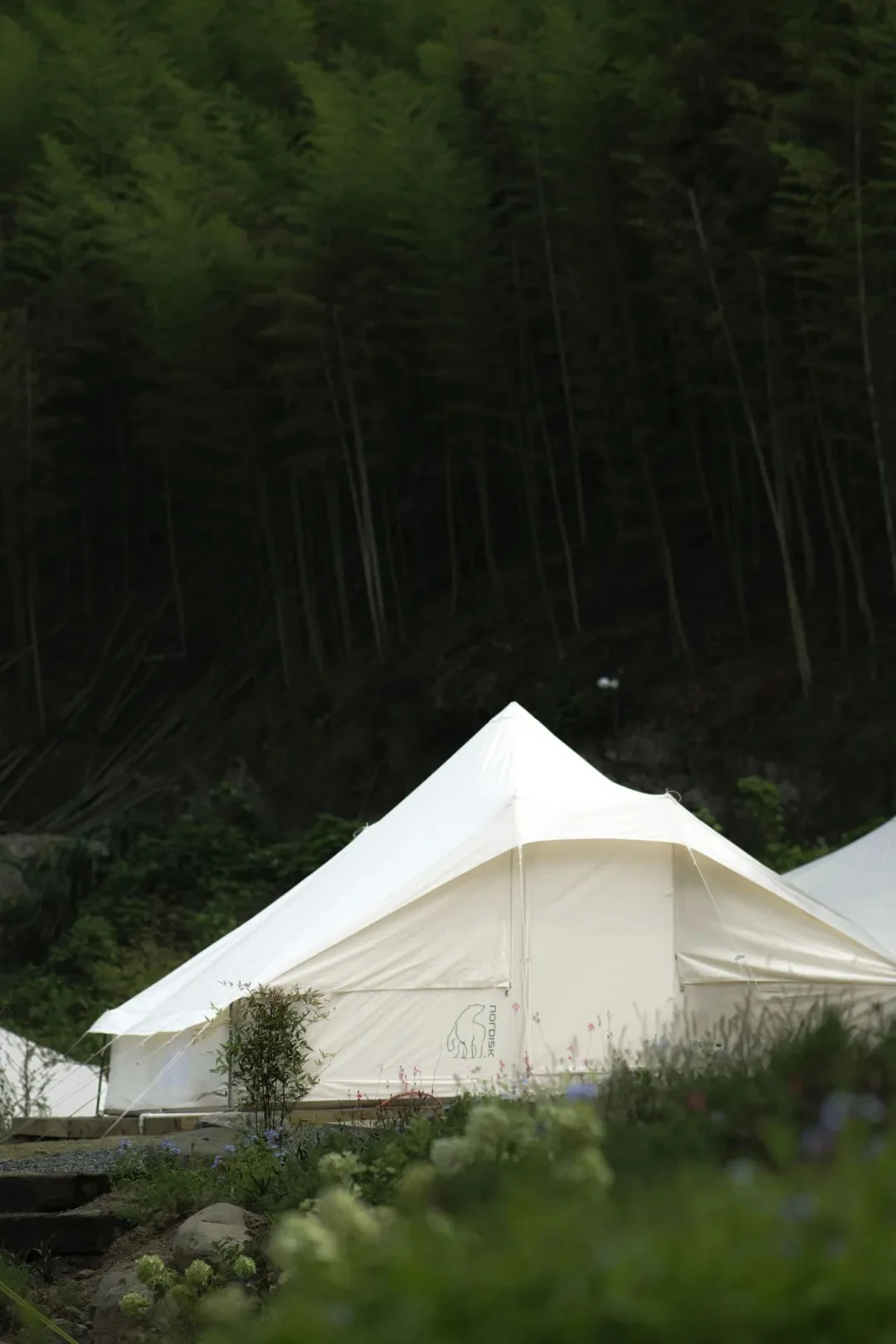 周末去一趟江浙沪版本的阿勒泰-安吉小杭坑