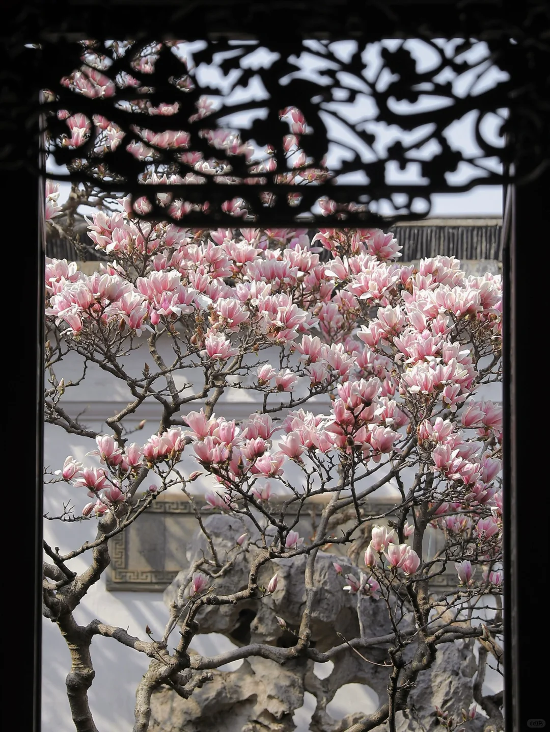 下个月的苏州，值得你专门来一趟……