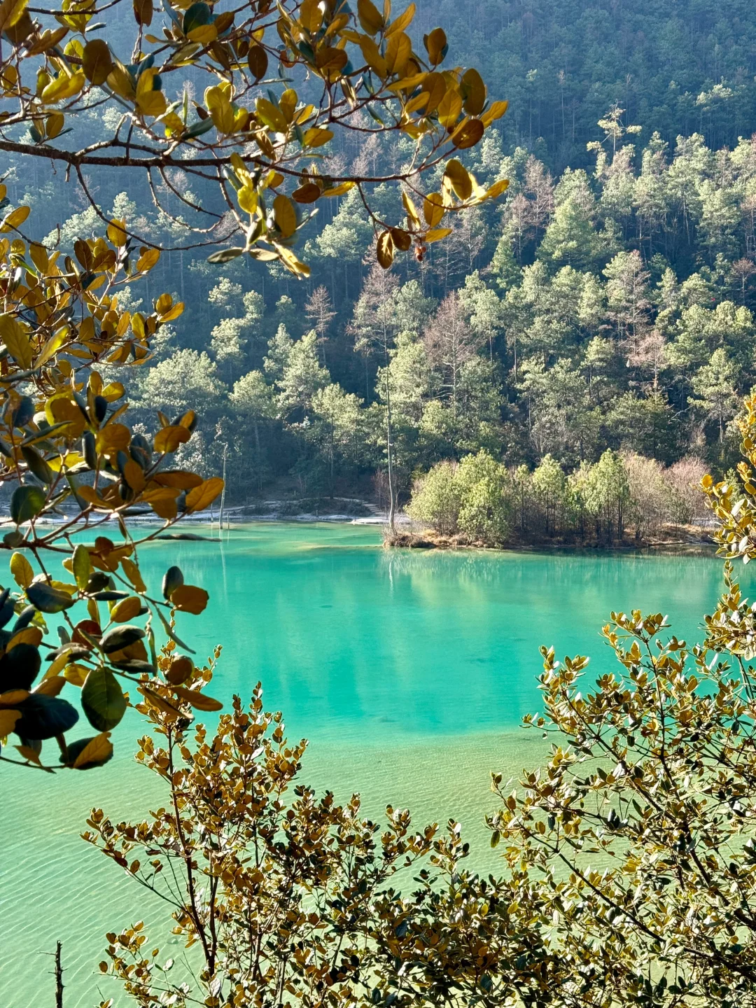 玉龙雪山旅游攻略（一天漫游版）