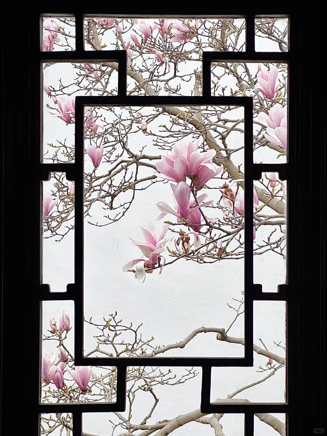 下个月的苏州，值得你专门来一趟……