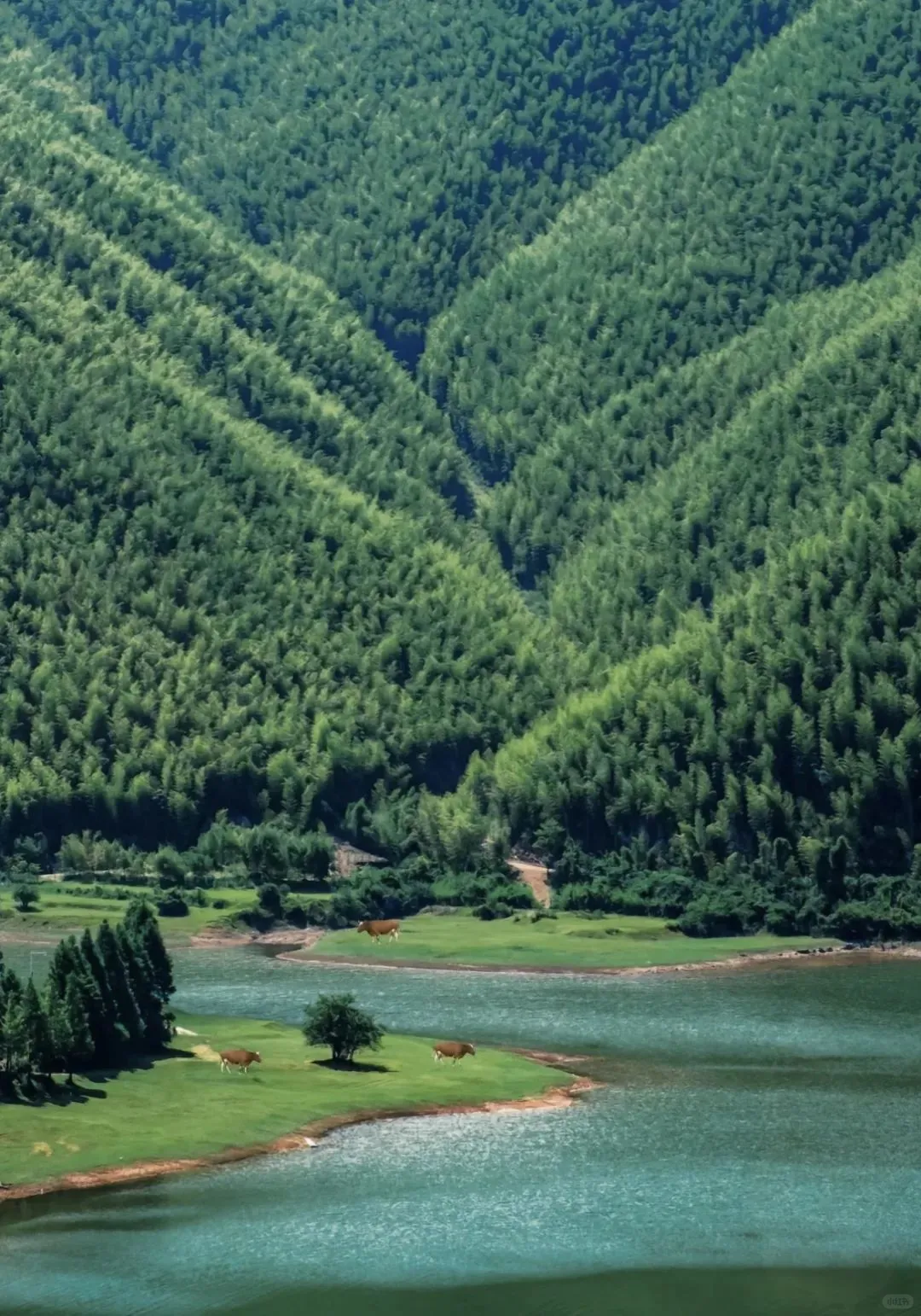 周末去一趟江浙沪版本的阿勒泰-安吉小杭坑