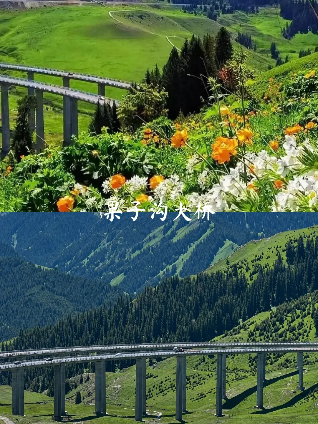 4—7月新疆伊犁8天7晚旅游攻略[火R]