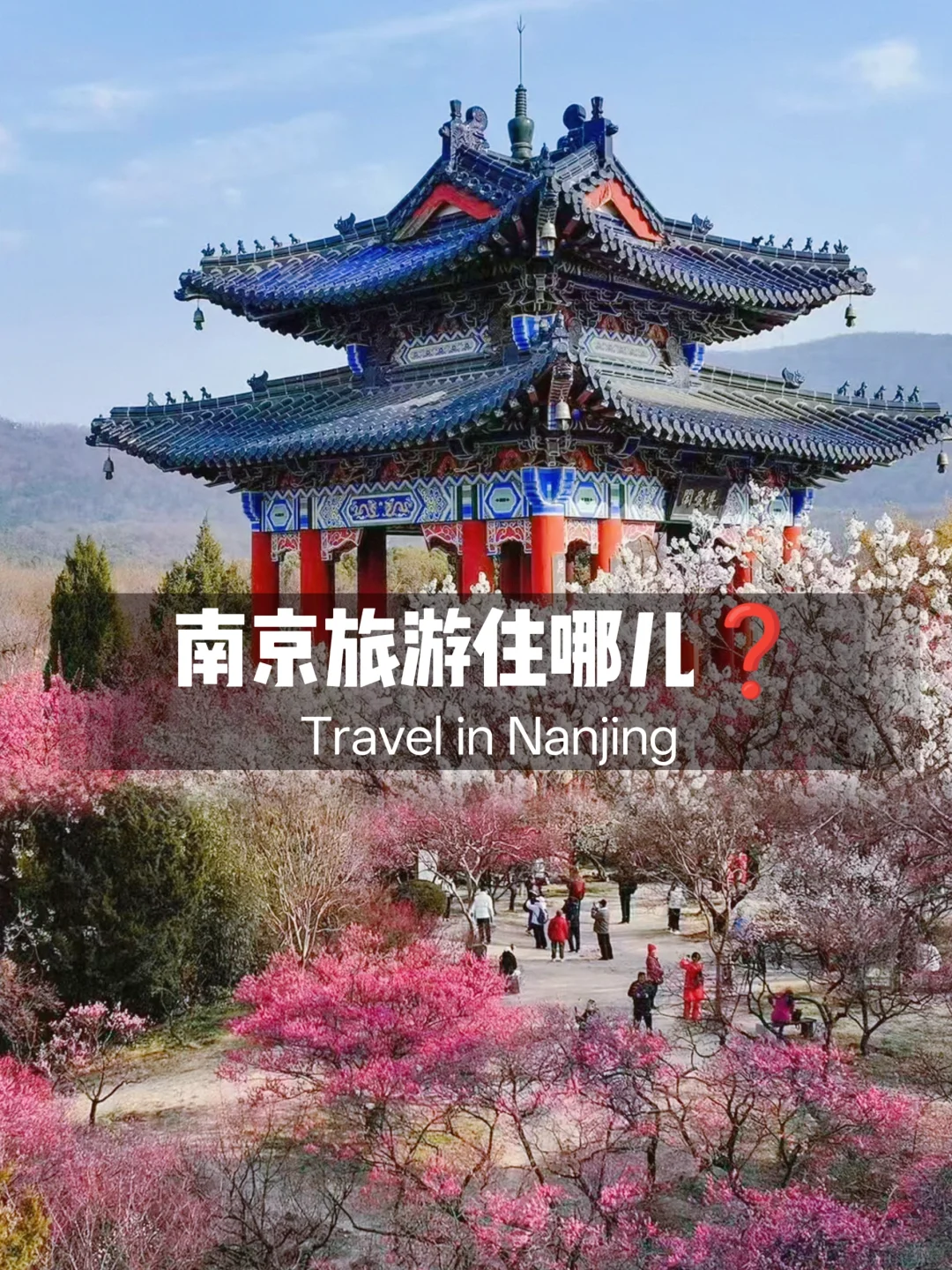 被问麻了❗南京旅游住哪儿❓