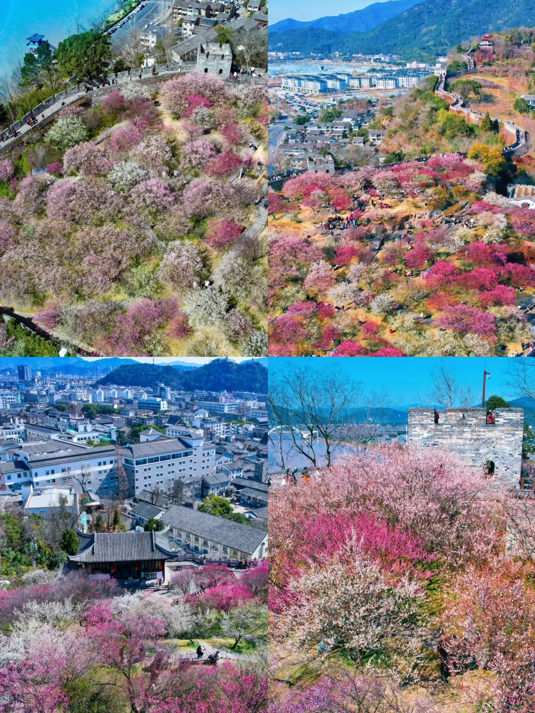 🌈台州｜3-4月来真的很香，人少景美！