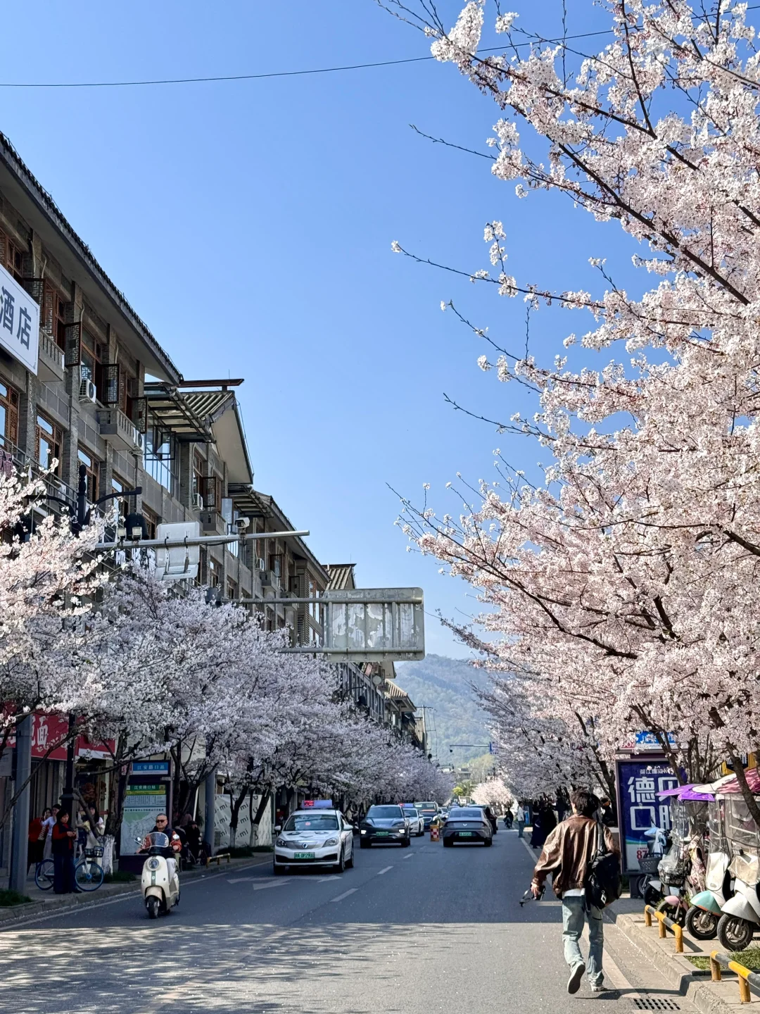 都江堰今天美哭了！！！！！！！