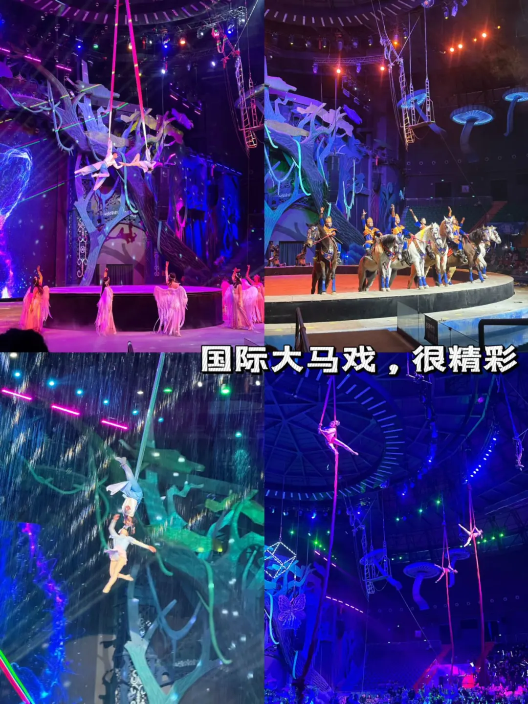 徐州｜九顶山野生动物园🦒旅游攻略来喽‼️