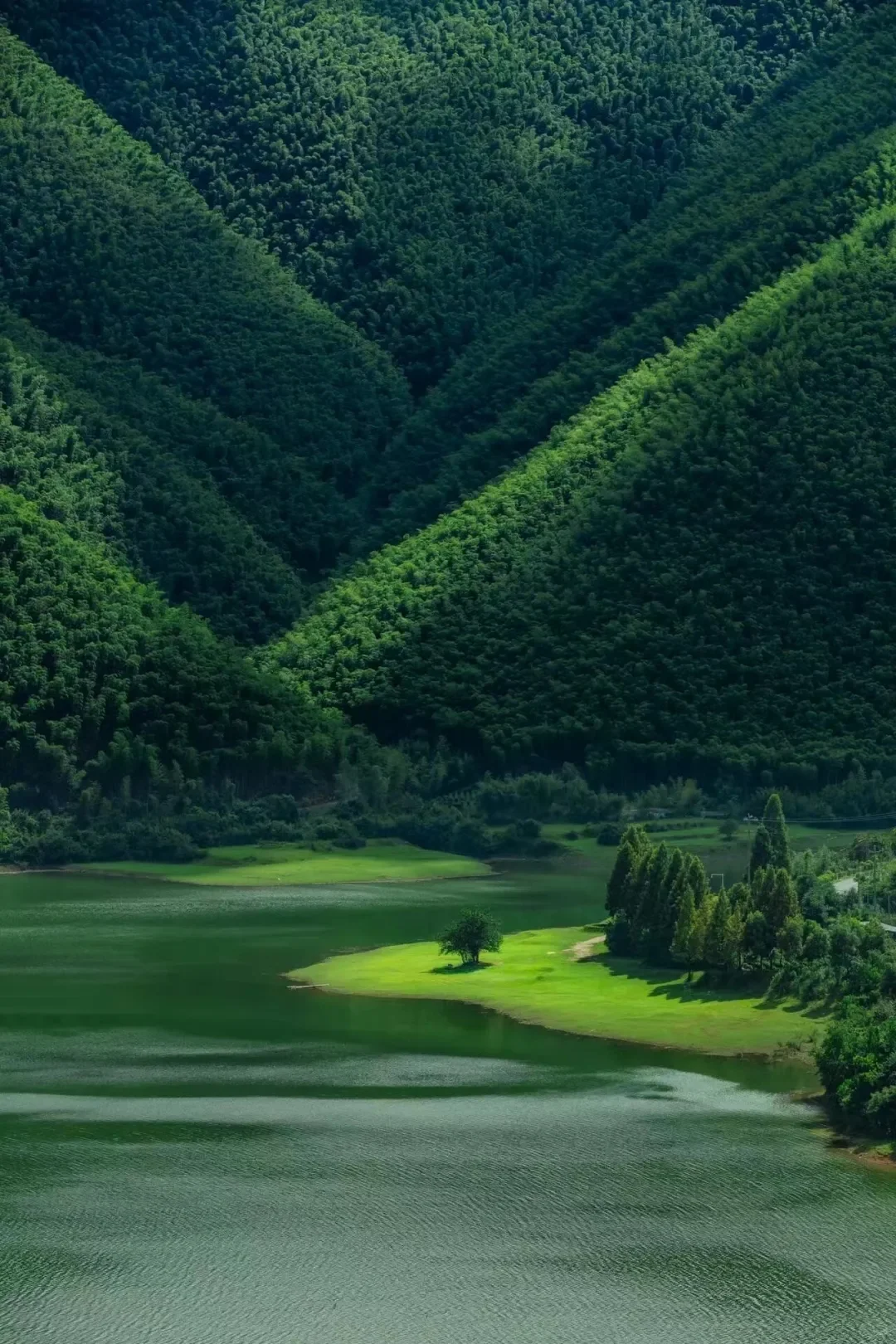周末去一趟江浙沪版本的阿勒泰-安吉小杭坑