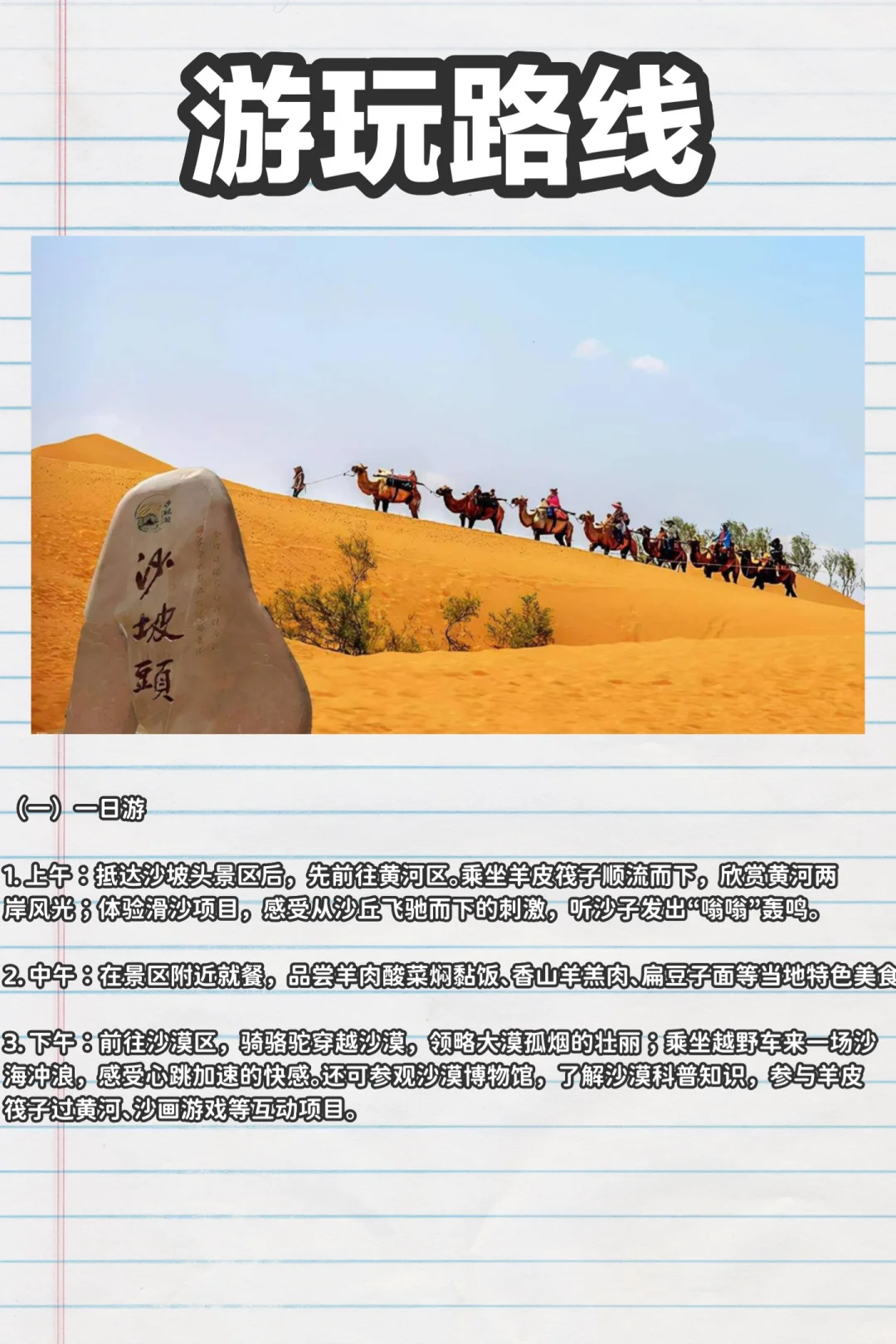 沙坡头旅游全攻略奔赴一场沙与河的浪漫之