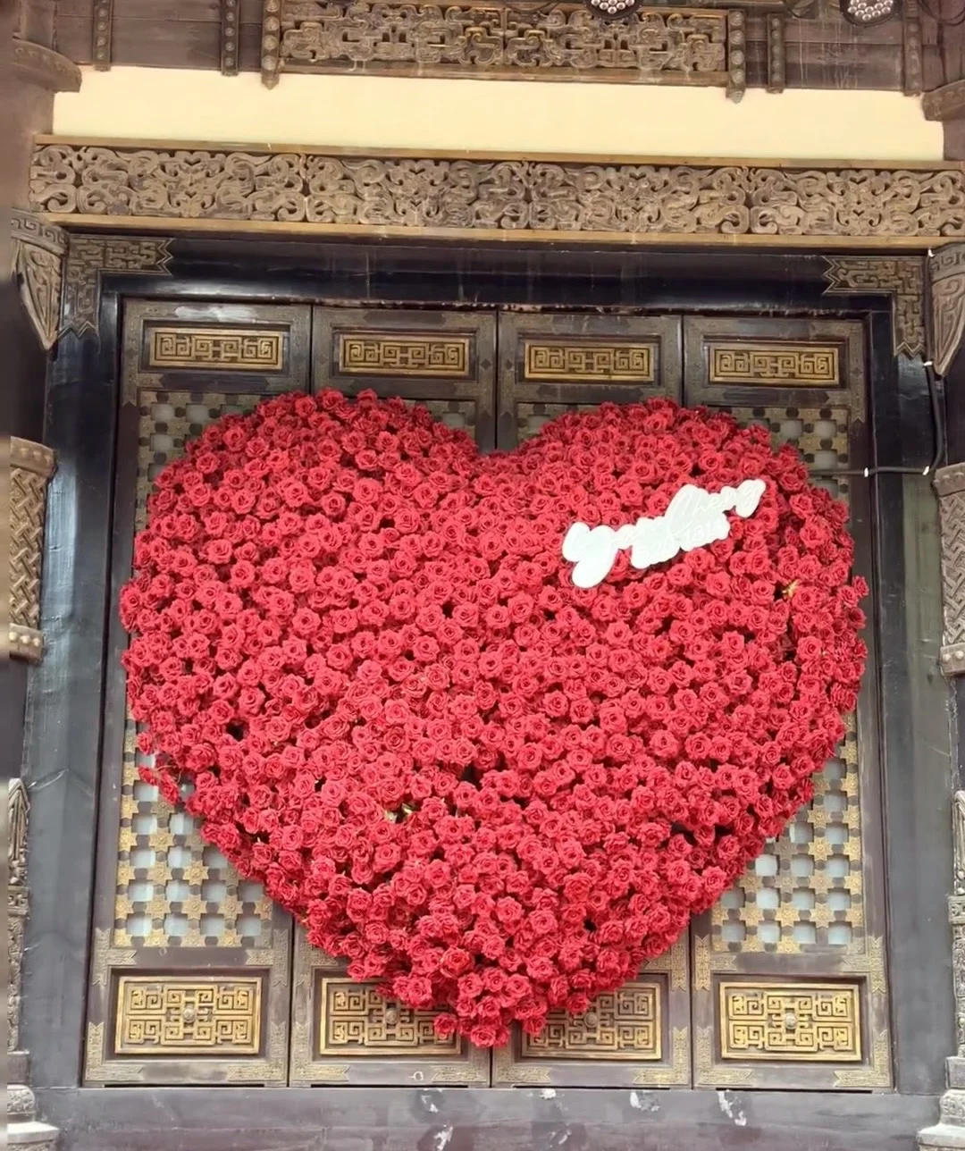 “特种兵旅游”藏在淹城的春日告白