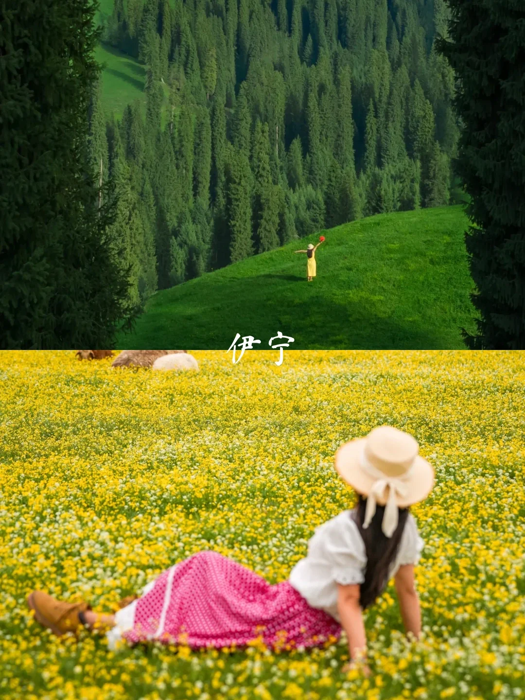 4—7月新疆伊犁8天7晚旅游攻略[火R]