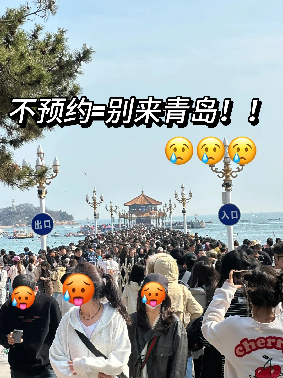 3-5月的青岛真的是人生理想。。。