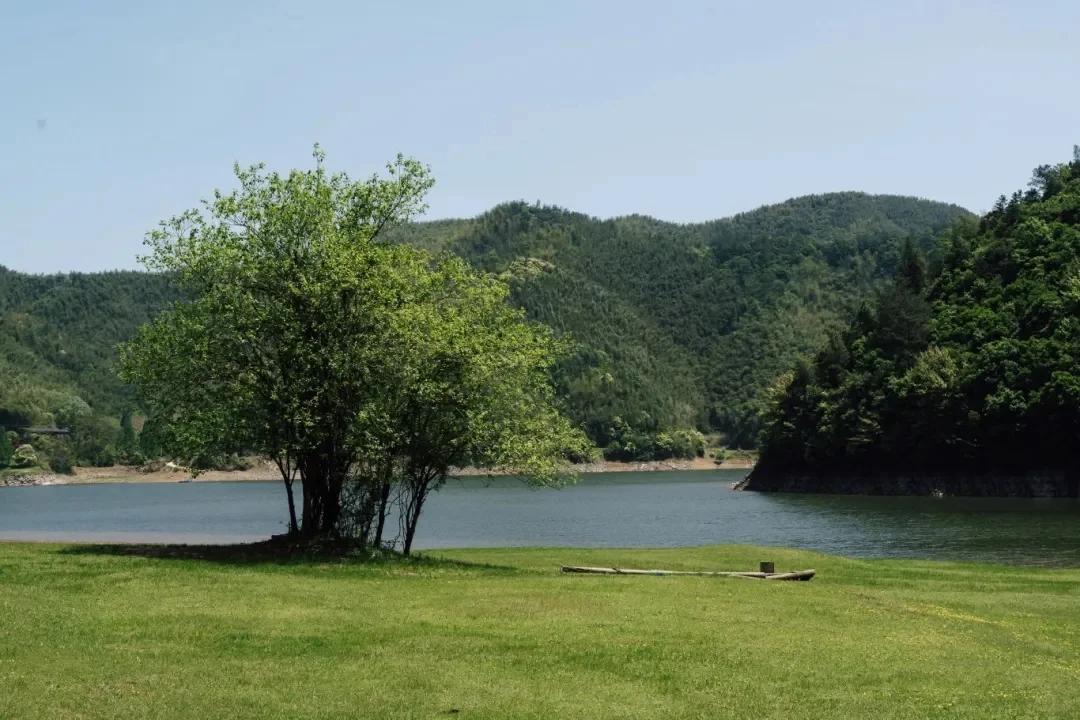 周末去一趟江浙沪版本的阿勒泰-安吉小杭坑