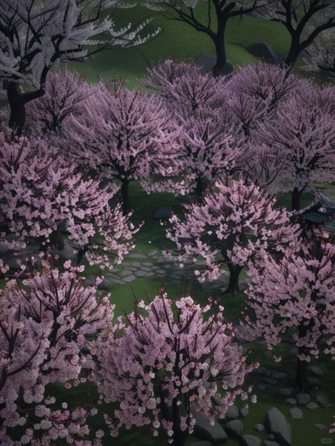 阿里山旅遊包車