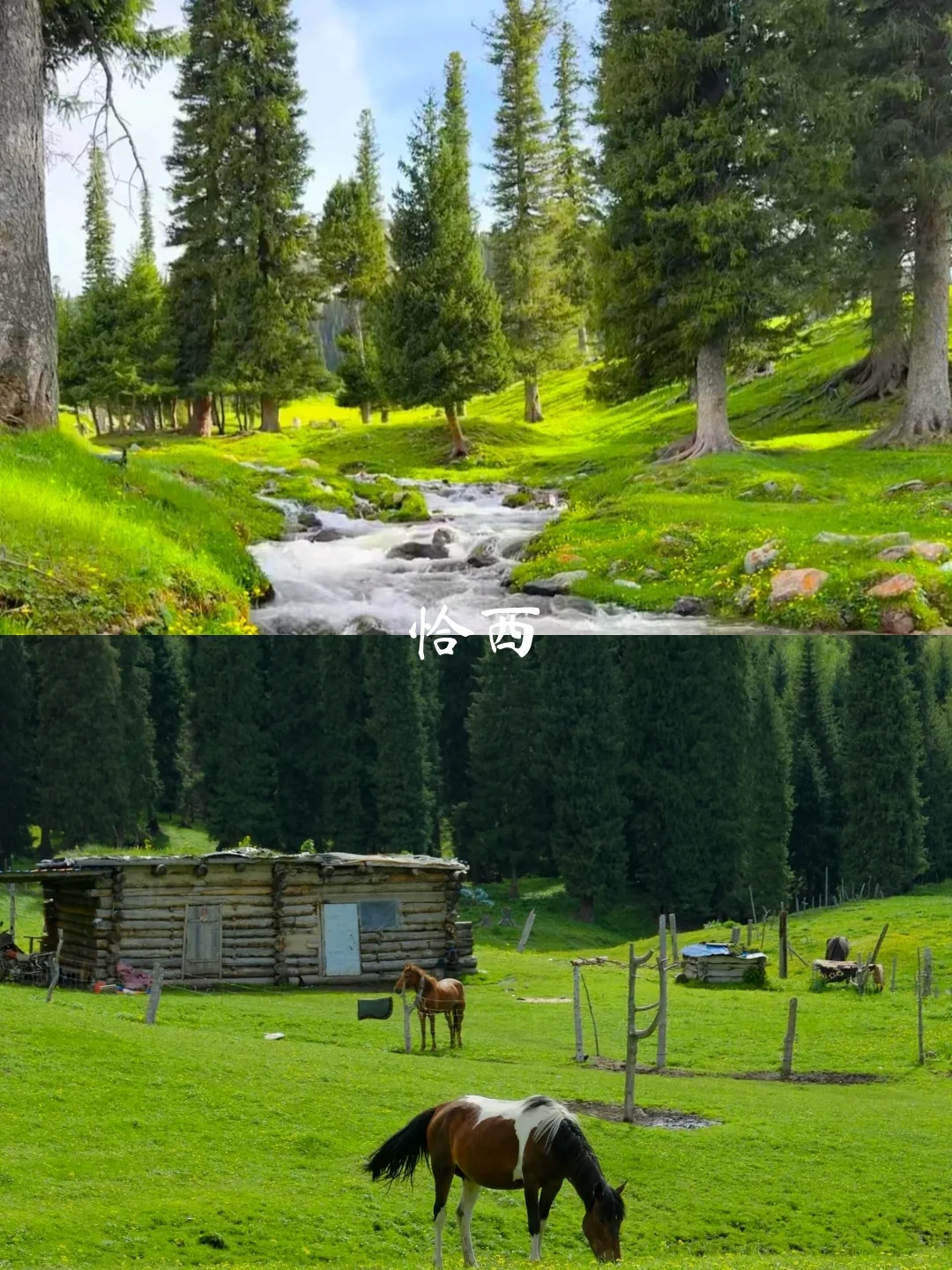 4—7月新疆伊犁8天7晚旅游攻略[火R]