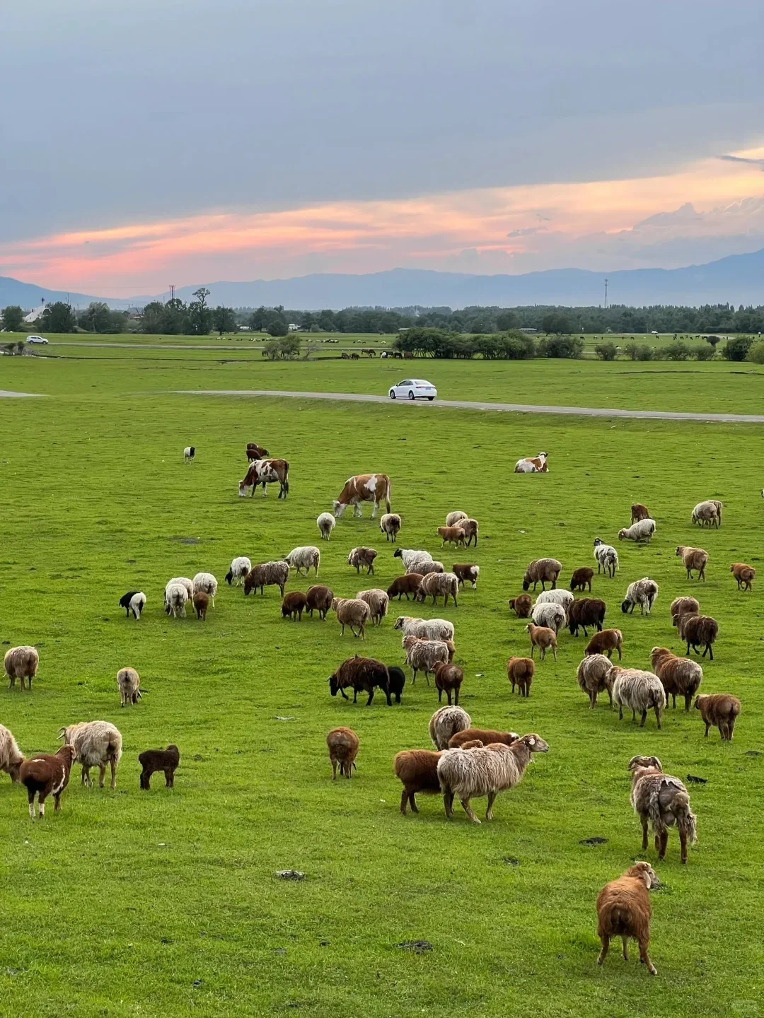 反向旅游｜5月就去新疆，别等6月人挤人