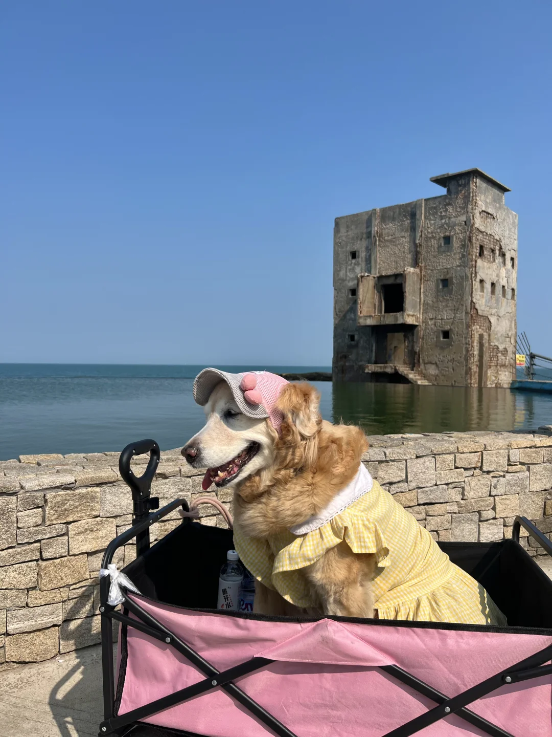 汕尾旅游景点攻略｜海上古堡｜古堡咖啡