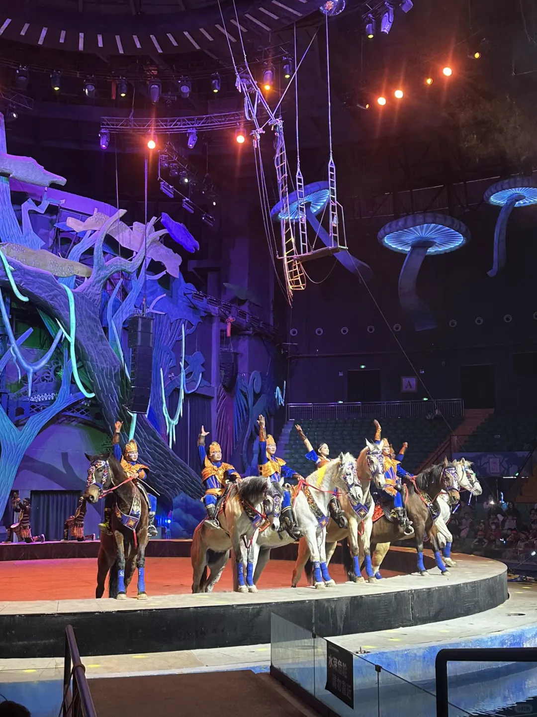 徐州｜九顶山野生动物园🦒旅游攻略来喽‼️