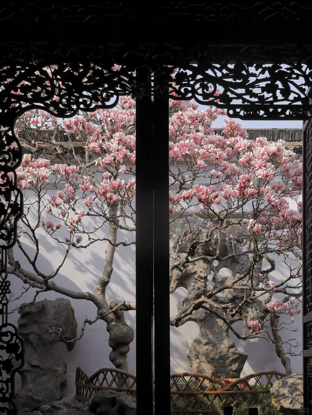 下个月的苏州，值得你专门来一趟……