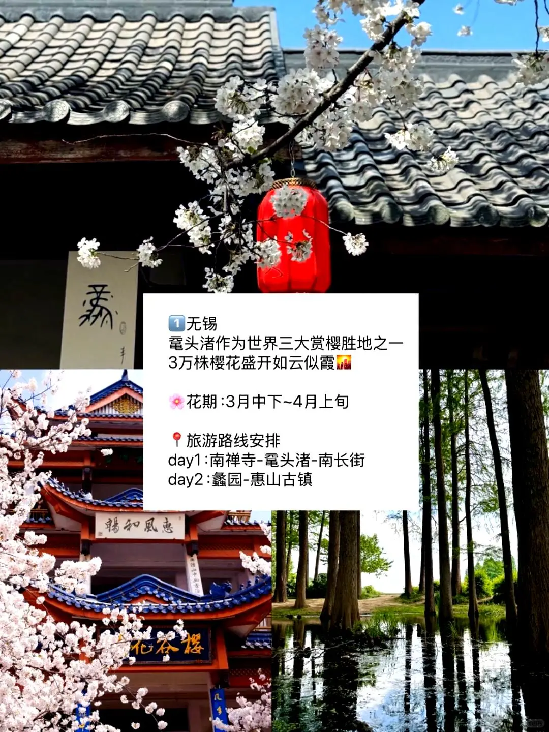 春游好去处🌼适合三到四月踏青的九座城市