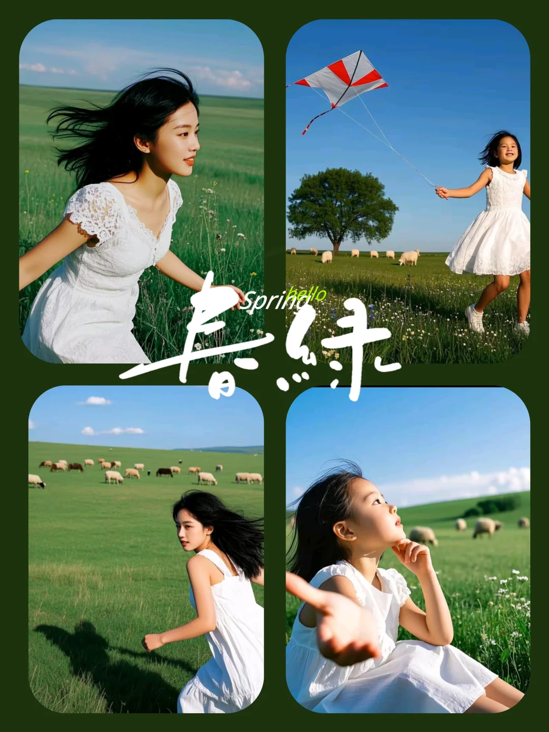 呼伦贝尔旅游攻略📝看完这篇就出发！