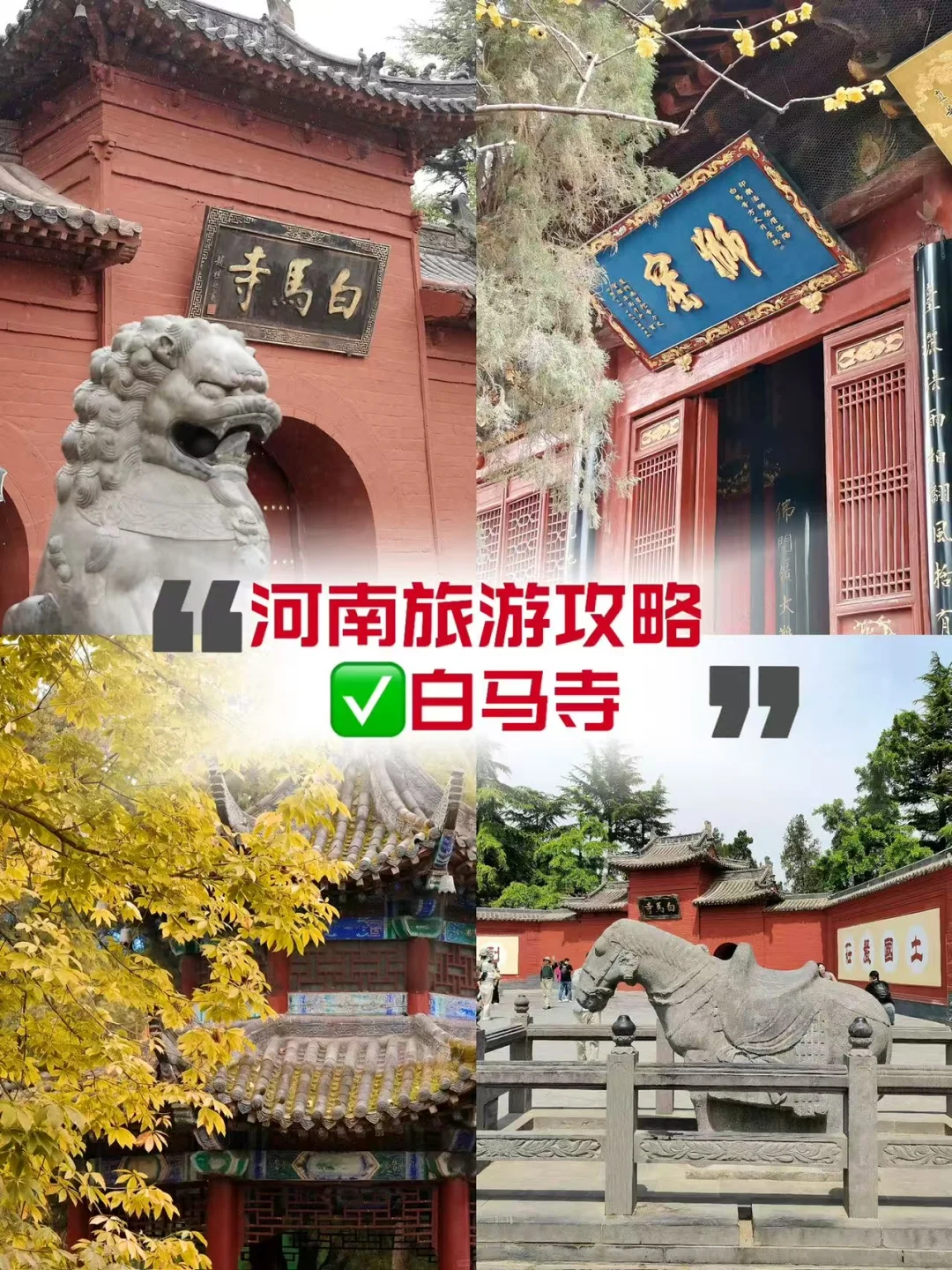 一眼心动❗河南4天3晚✔纯玩私享体验感拉满