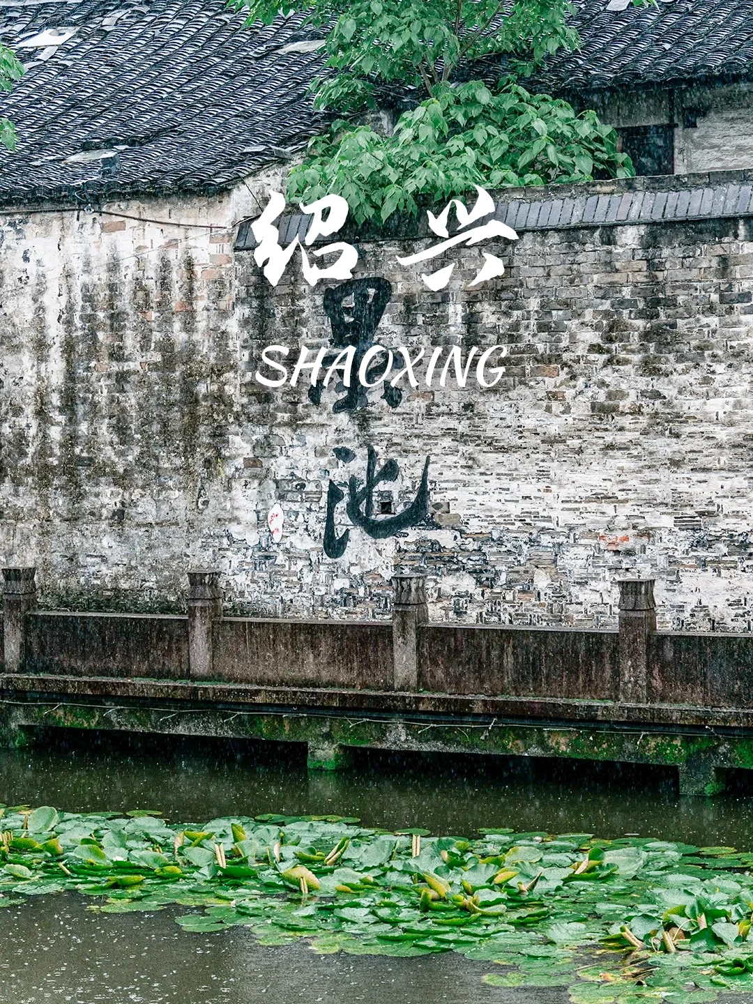 高铁直达‼️适合清明3天出游的9个目的地