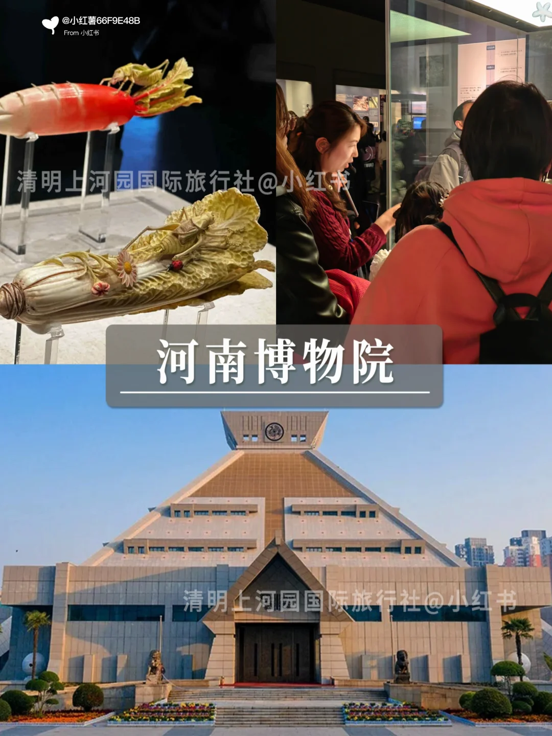 洛阳本地人说的大实话💢码住备用，重点多