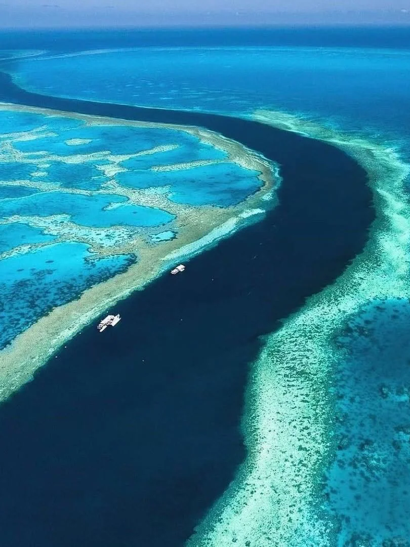 听劝‼️2-5月去澳大利亚旅游🔥先看完这篇