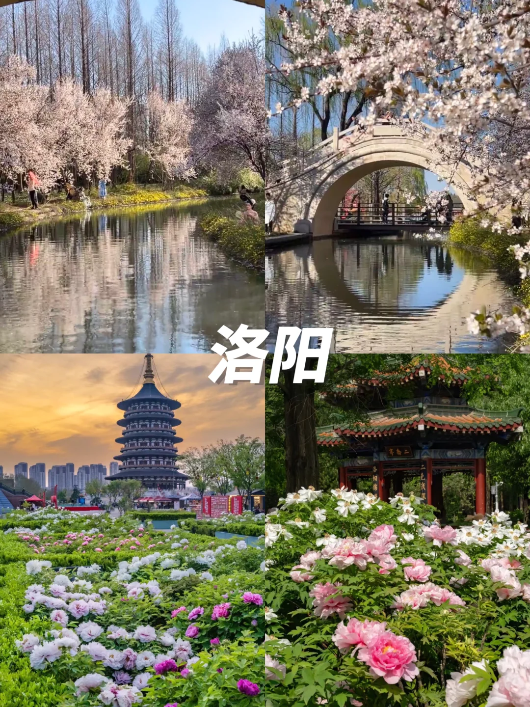 Deepseek有你的👏4月坠佳旅游城市不踩雷‼️