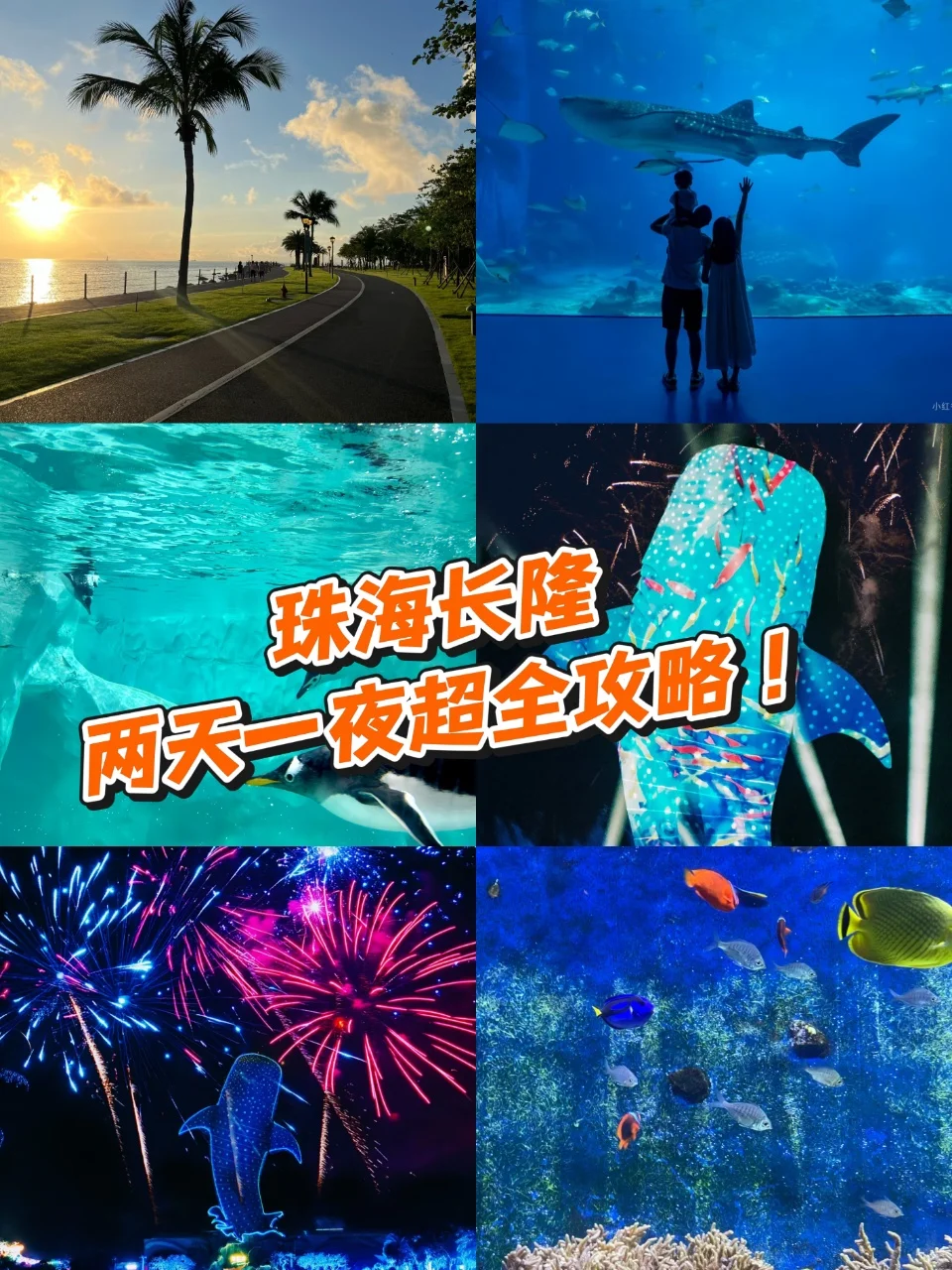 ✨珠海长隆|超全旅游攻略来咯！🌊🎢🐧